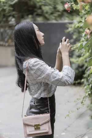 青青河边草